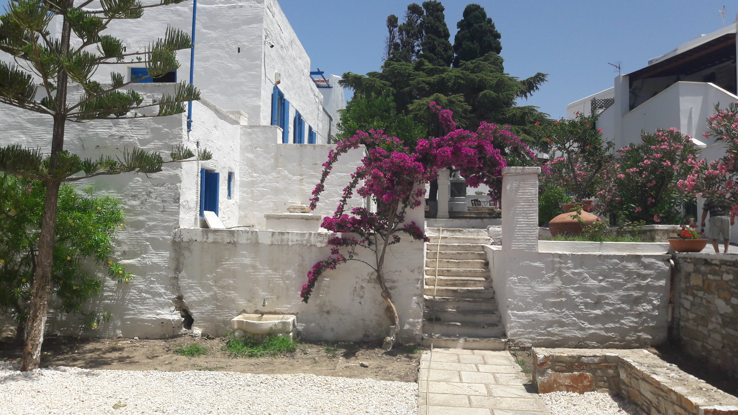 Η αυλή της Οικίας Χαλεπά το 2017 με τις βουκαμβίλιες