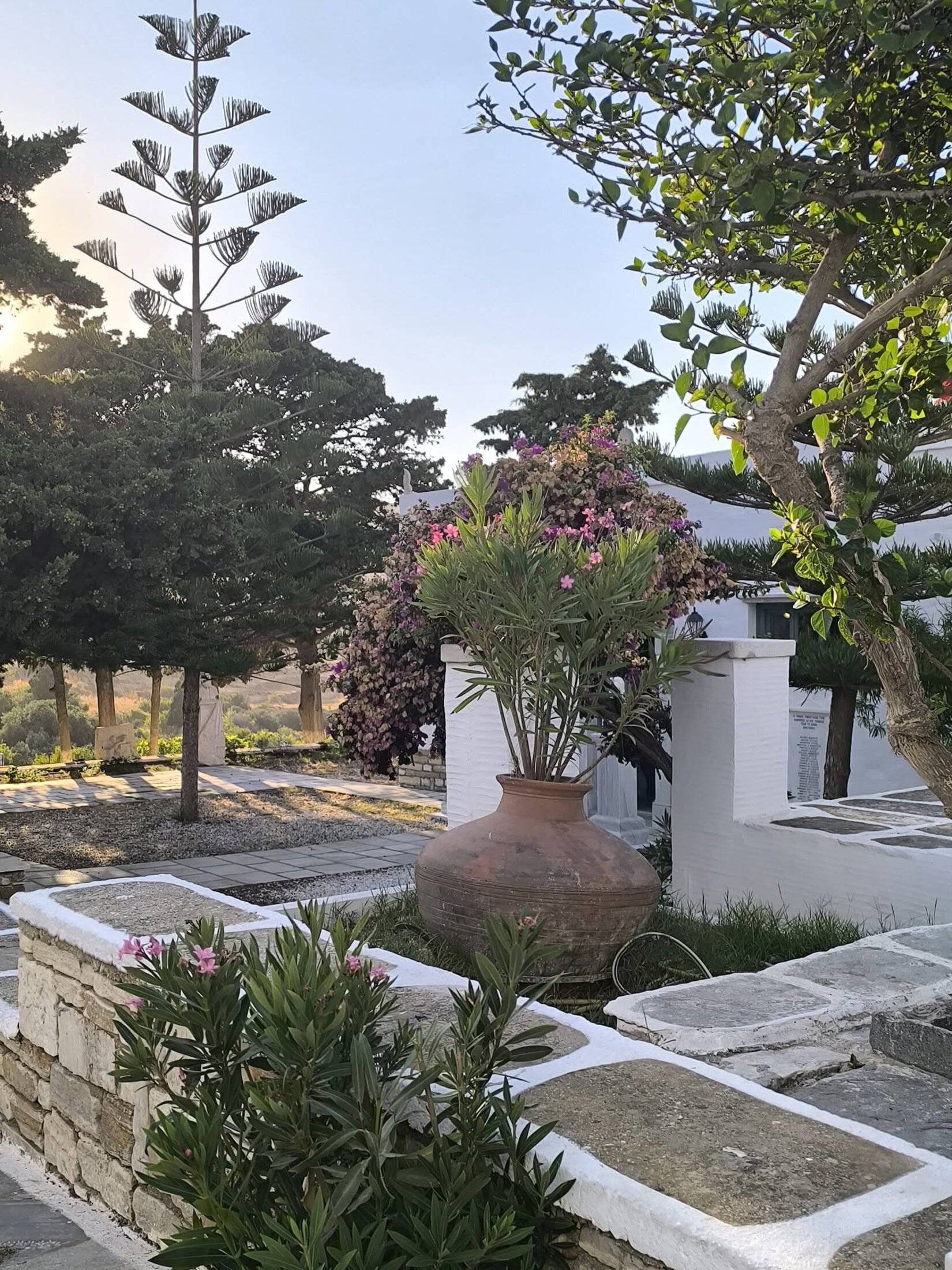 Η αυλή σήμερα, φρεσκοβαμμένη, με τις βουκαμβίλιες ακόμα εκεί