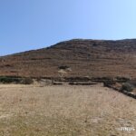 Μετά το «Διψάοοοοοο!»: το νησί απάντησε — ένα δοχείο νερό σε κάθε αυλή σώζει την πανίδα της Τήνου