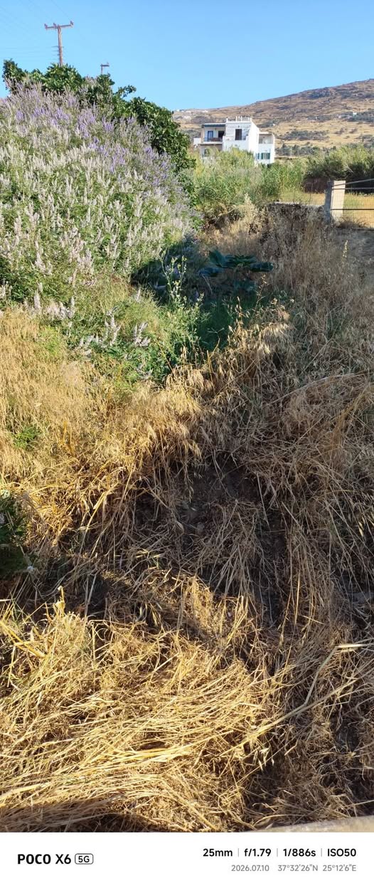 Καθαρισμός ρέματος στην Αγία Βαρβάρα Τήνου
