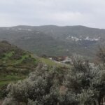 Ελαιοκομικό μητρώο: όσοι έκαναν αίτηση μπορούν να περάσουν να το παραλάβουν