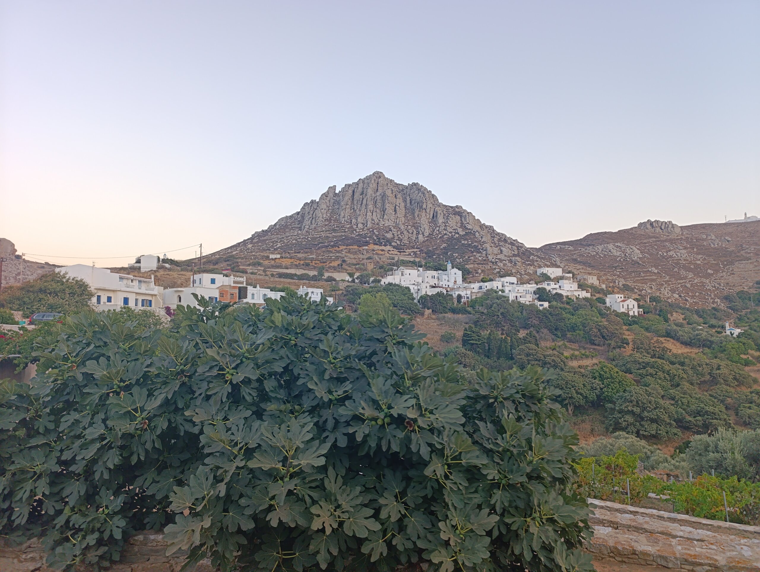 Το Εξώμβουργο και το χωριό στο σούρουπο, με συκιά στο πρώτο πλάνο