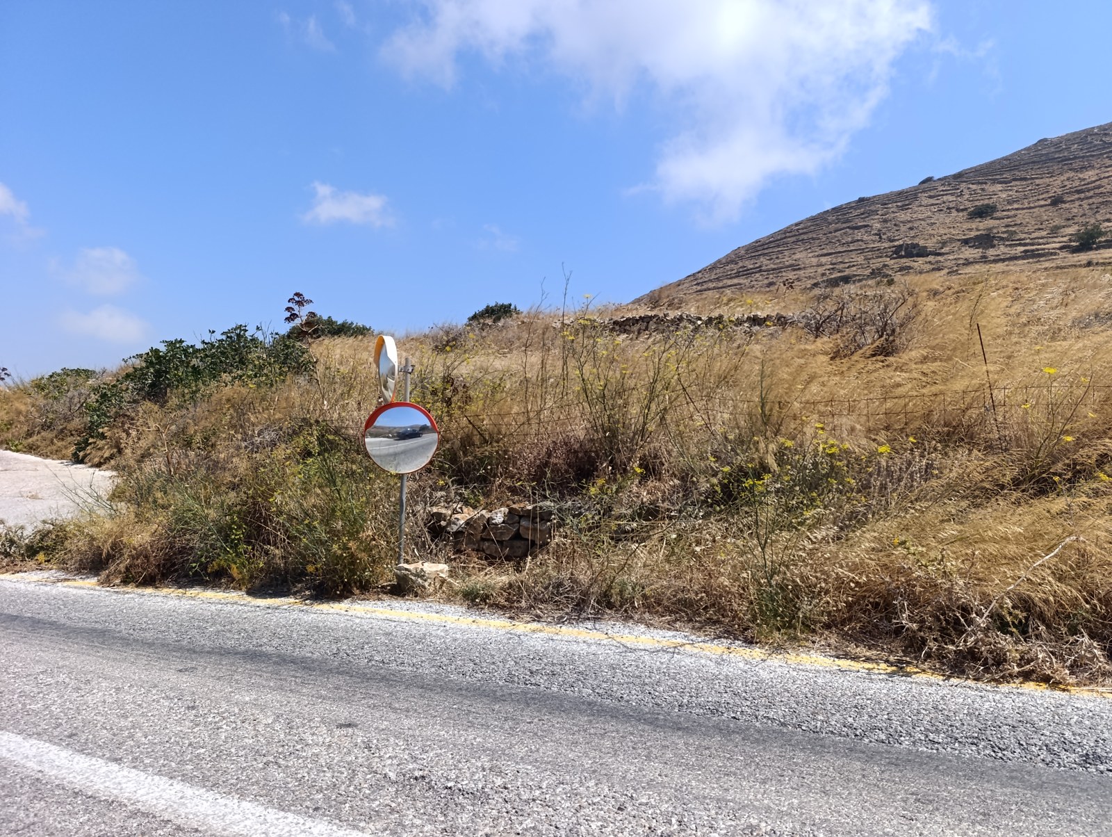 Νέος καθρέφτης μισοκρυμμένος μέσα στα ξερόχορτα
