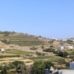 Ρακιζιό στον Φαλατάδο Τήνου: η γιορτή του χωριού για 28η χρονιά, Σάββατο 5 Σεπτεμβρίου