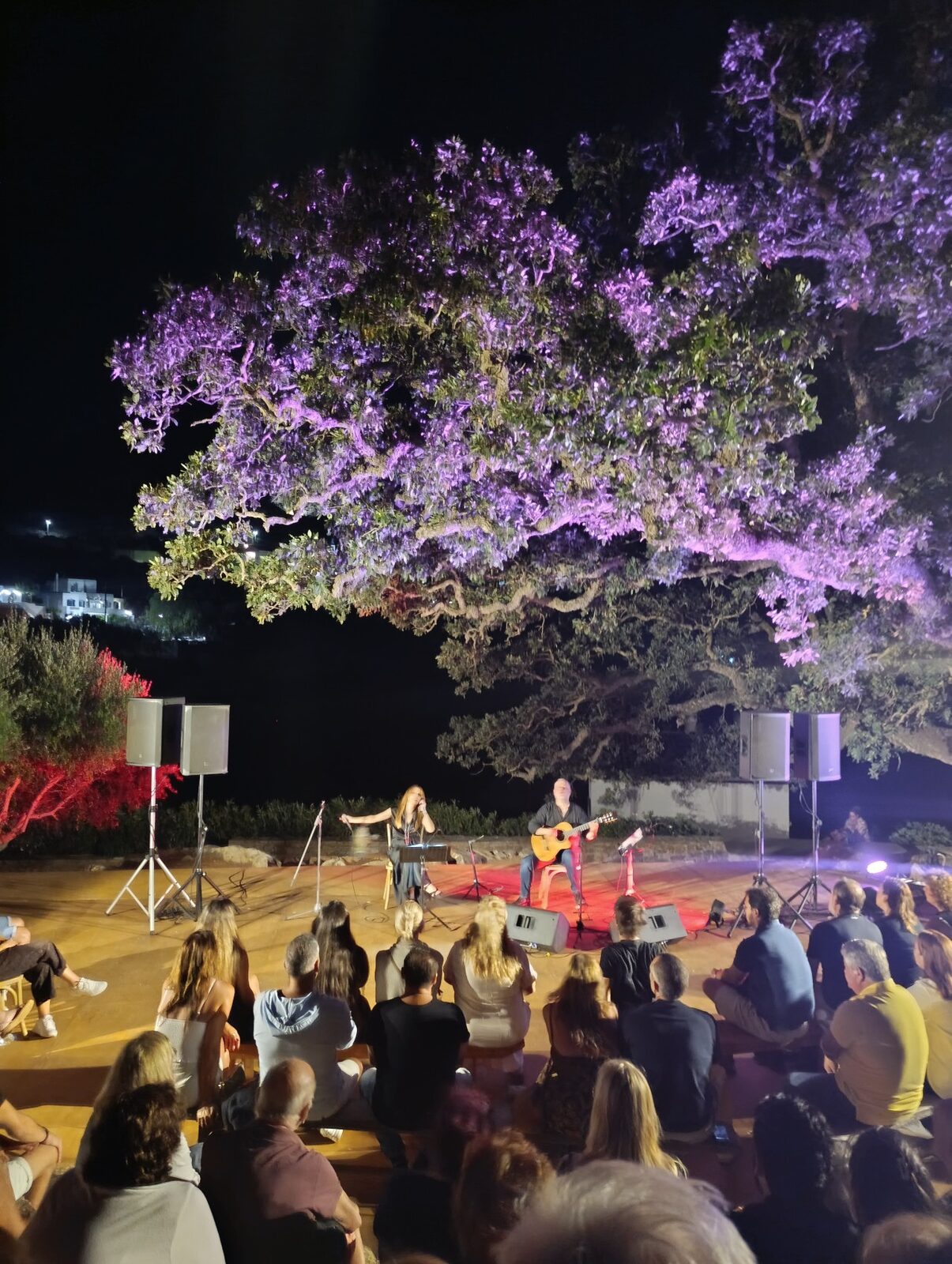 Η βελανιδιά φωτισμένη μοβ πάνω από το κοινό