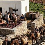 Η Τήνος του κρασιού: το νησί που γέμιζε καΐκια με μούστο
