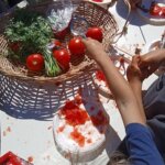 Μικροί επιστήμονες στο φυτώριο των «Φίλων του Πράσινου»: τα παιδιά έφτιαξαν ντοματοπολτό