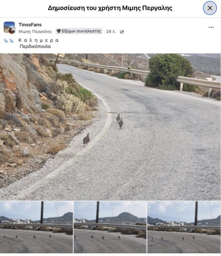 Η ανάρτηση του Μίμη Περγάλη στην ομάδα TinosFans