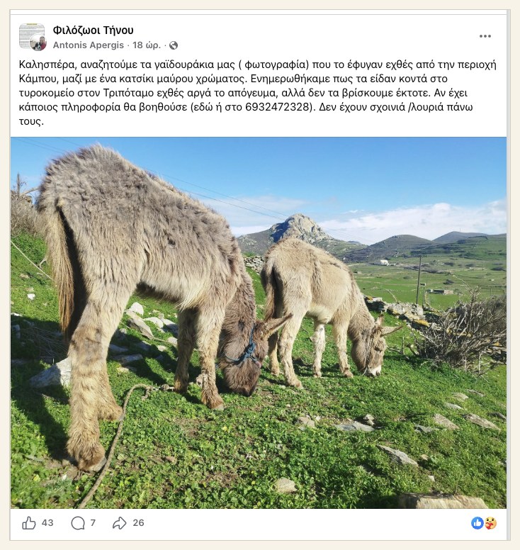 Στιγμιότυπο της ανάρτησης στην ομάδα Φιλόζωοι Τήνου με την αναζήτηση των δύο γαϊδουριών και του κατσικιού