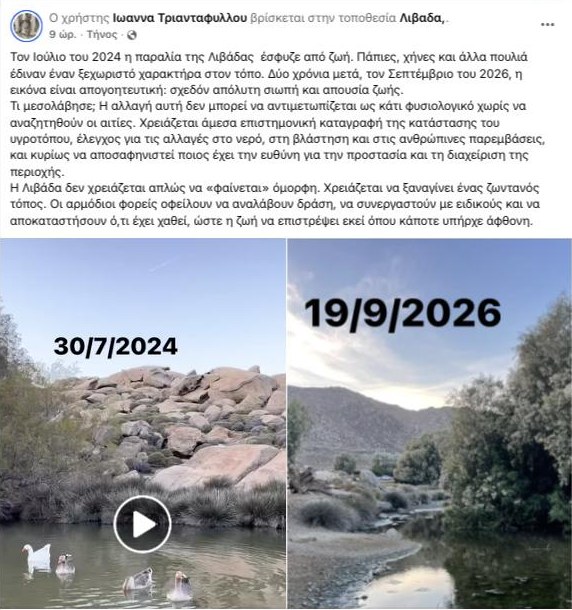 Η δημόσια ανάρτηση της Ιωάννας Τριανταφύλλου για τη Λιβάδα στο Facebook
