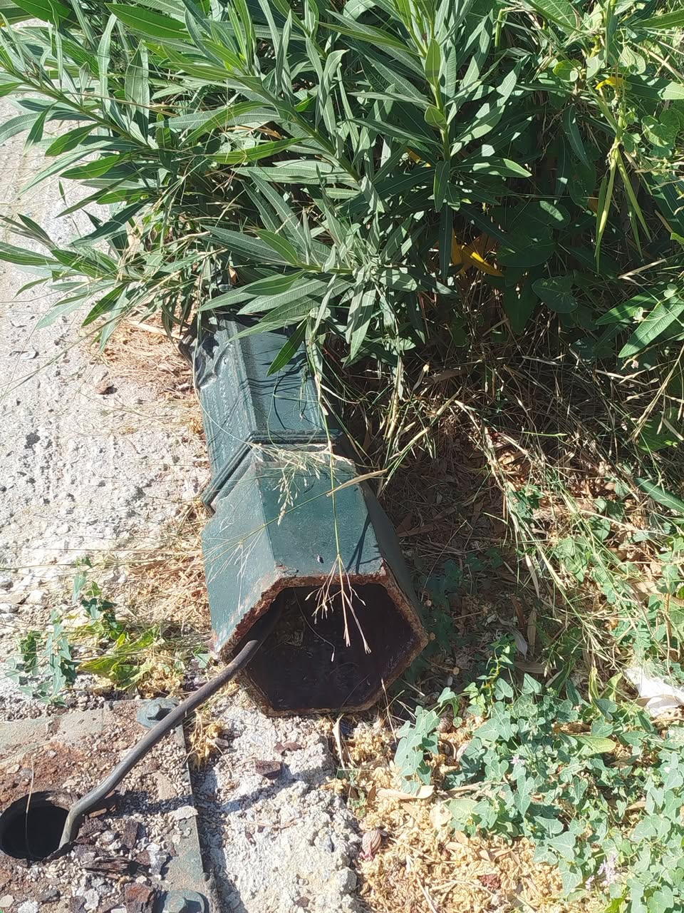 Το φανάρι του στύλου από κοντά, ανοιχτό και σκουριασμένο, μέσα στη βλάστηση