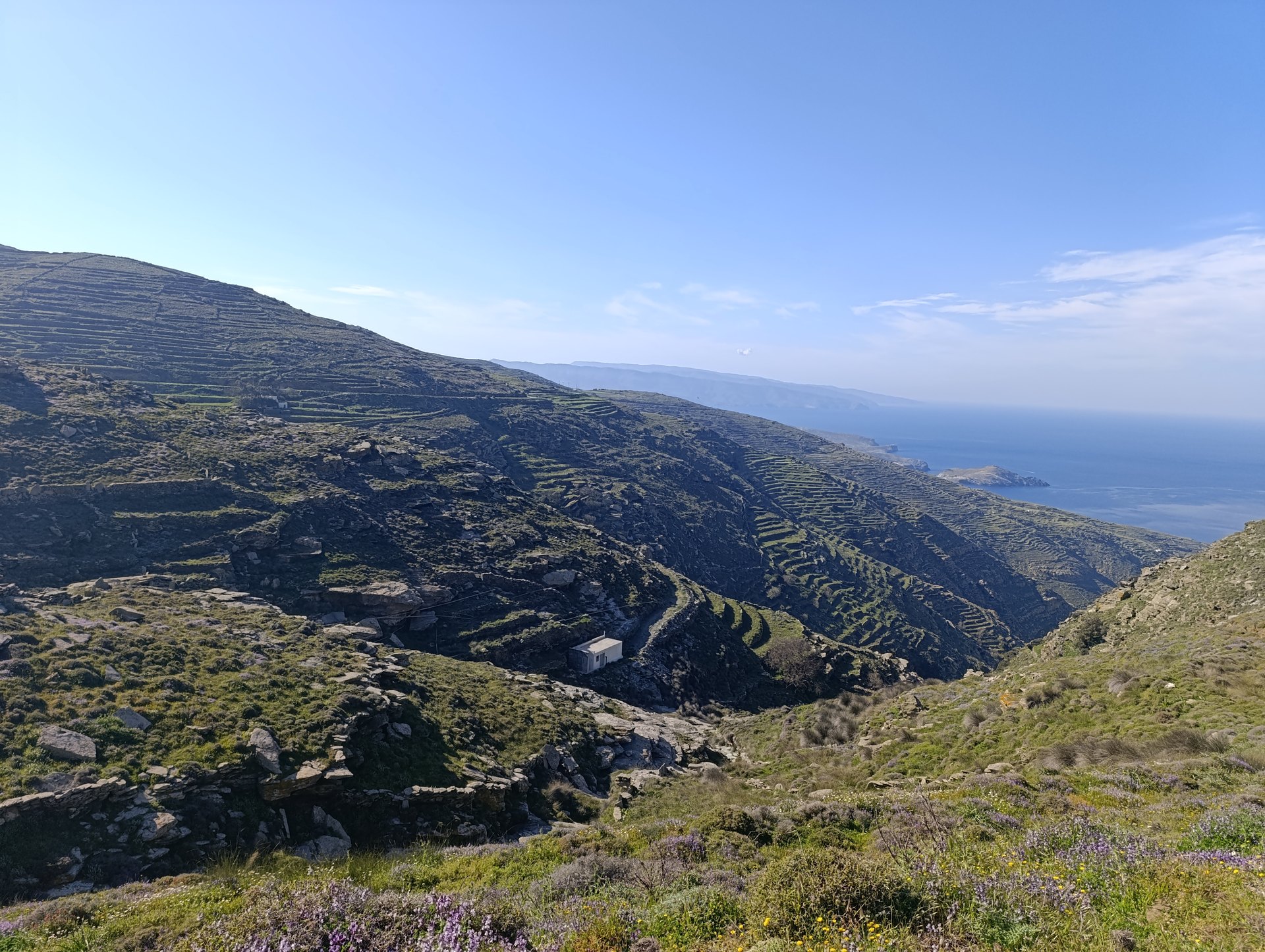 Αναβαθμίδες (πεζούλες) σε πλαγιά της Τήνου, με μικρό λευκό κτίσμα στη ρεματιά και τη θάλασσα στο βάθος