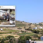 Με τα σχοινιά από το ταβάνι: το πατητήρι της Στενής όπως γινόταν πάντα