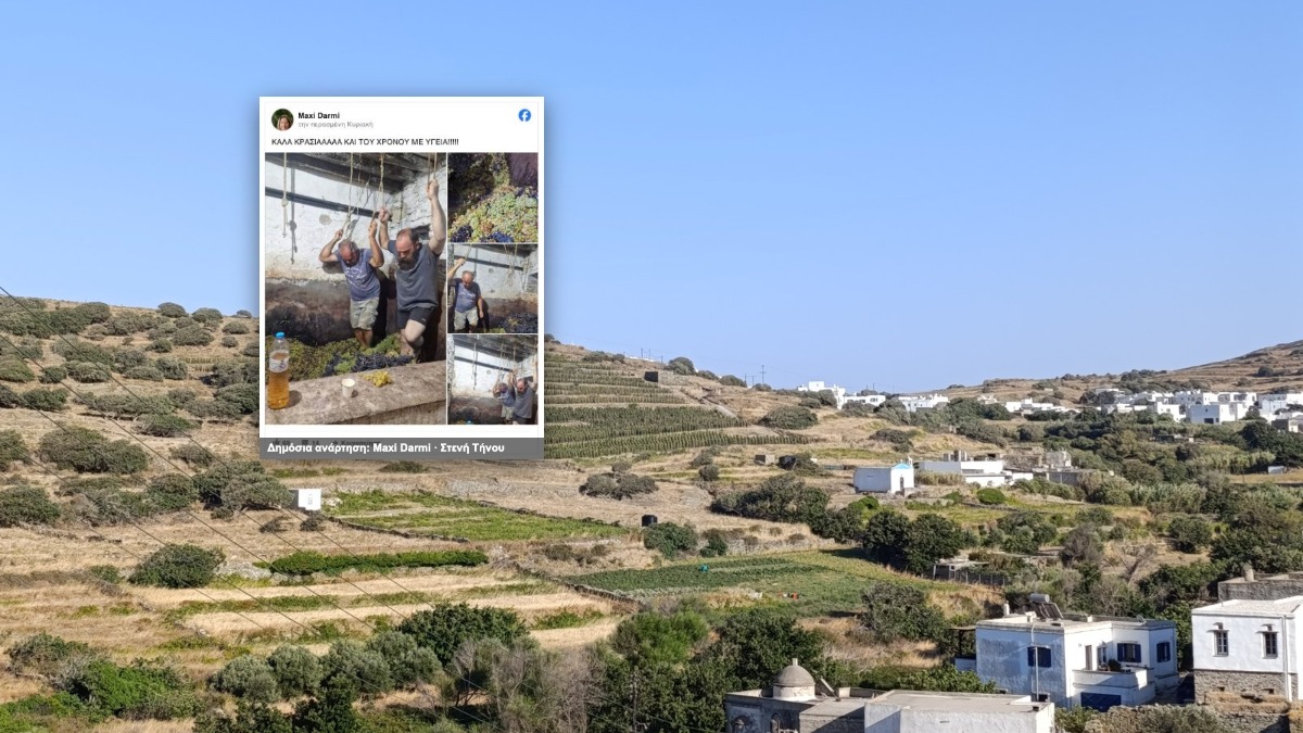 Αμπέλια και σπίτια της Στενής Τήνου με ένθετο στιγμιότυπο της δημόσιας ανάρτησης από το πατητήρι