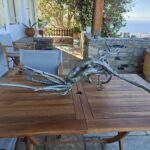 Η θάλασσα «γλύπτης»: μια ρίζα από παραλία της Τήνου που αγκαλιάζει ένα βότσαλο