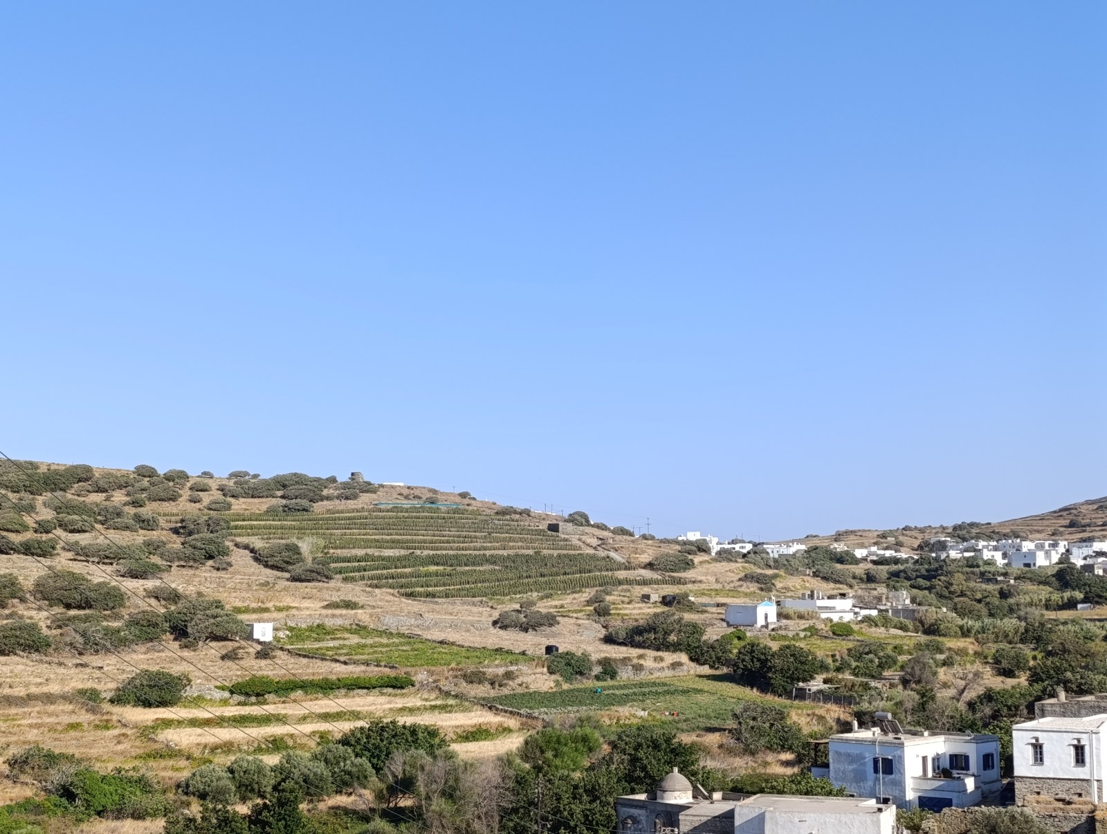 Αμπέλια σε πεζούλες και τα σπίτια της Στενής στην Τήνο