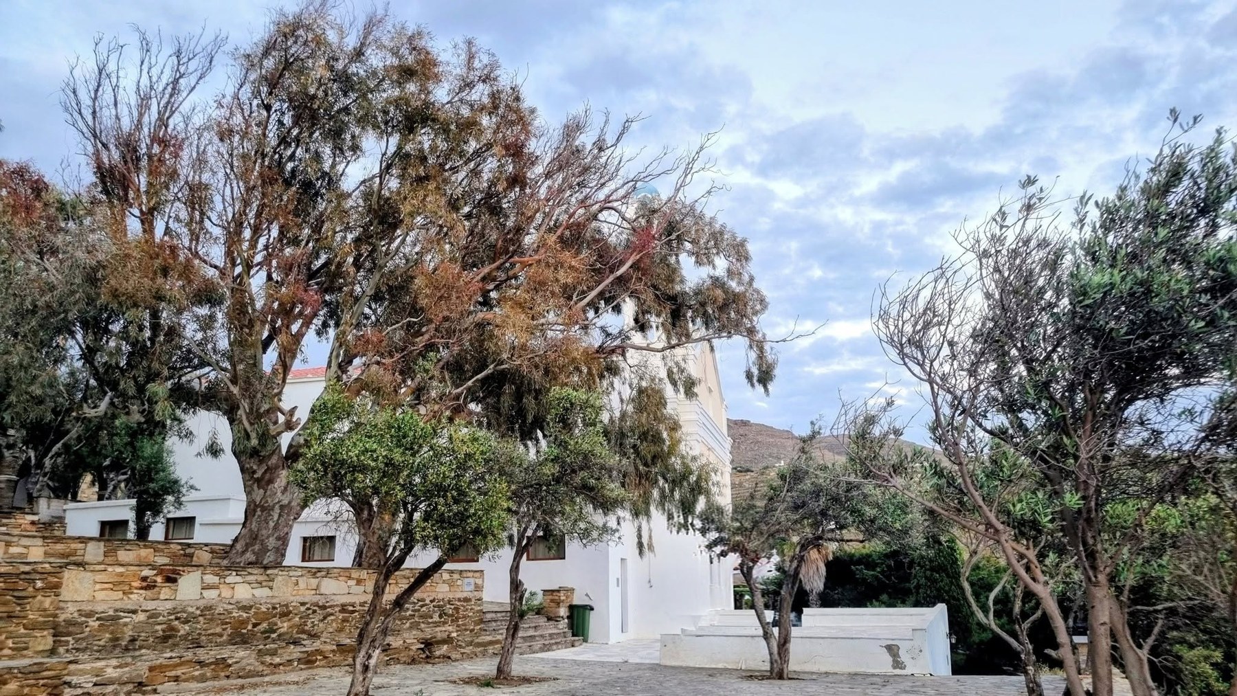 Ο ναός στο Προσκύνημα της Παναγίας της Βρυσιώτισσας, ανάμεσα στους ευκαλύπτους