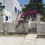 Το σπίτι του Χαλεπά: ο δήμαρχος απαντά στο «γιατί» — «δεν δέχτηκε η υπουργός να το ανοίξουμε χωρίς εγκαίνια»
