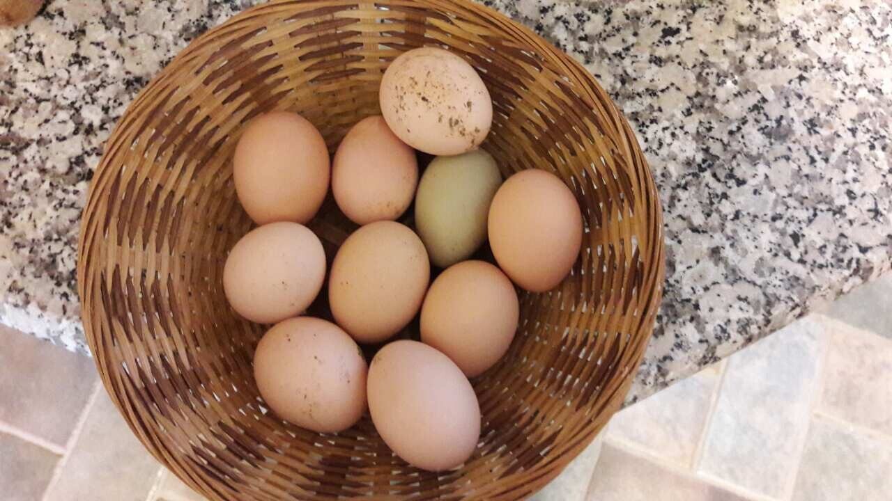 Φρέσκα αυγά σε ψάθινο καλάθι