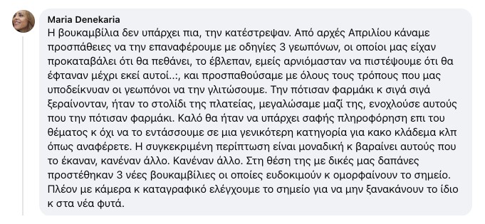 Το σχόλιο της Μαρίας Δενεκάρια για τη βουκαμβίλια του Κάμπου