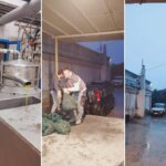 Ευλογία ξανά στην ύπαιθρο της Τήνου: ήρθε η πρώτη βροχή του φθινοπώρου — και έτρεξε το πρώτο λάδι της χρονιάς στο Ελαιοτριβείο