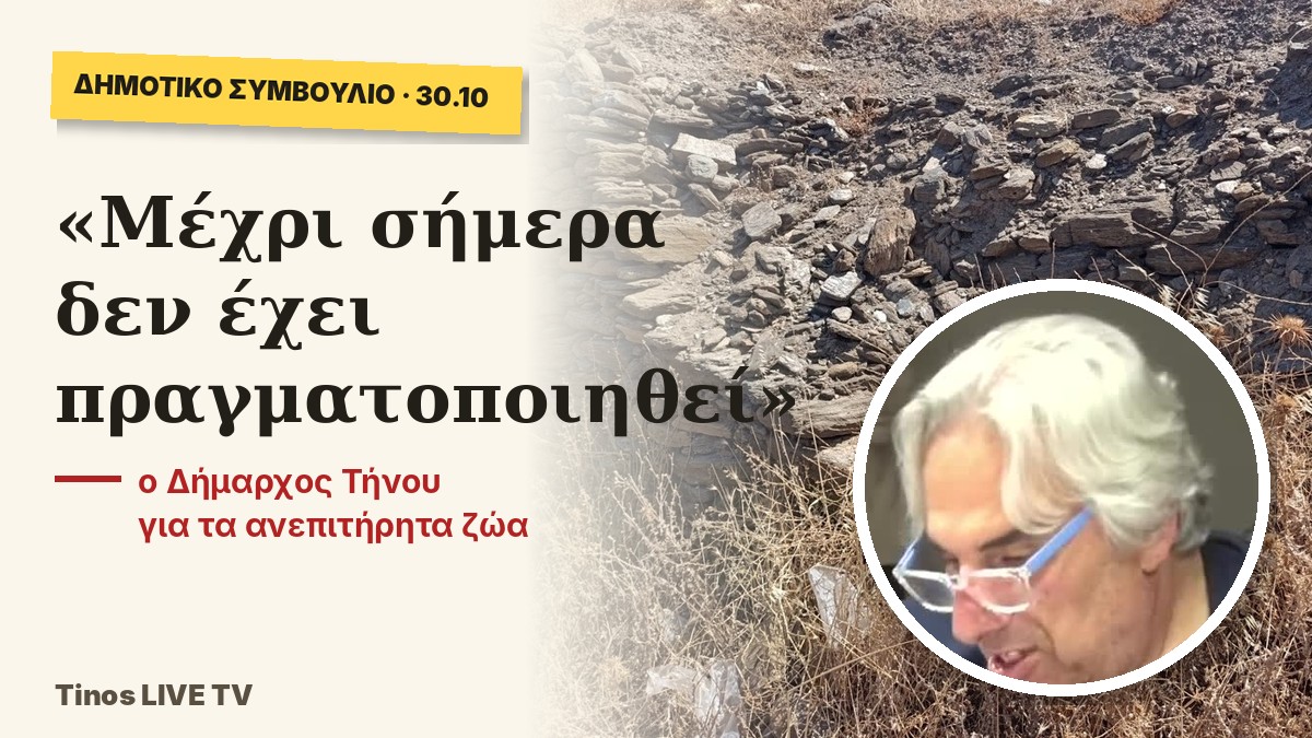 «Μέχρι σήμερα δεν έχει πραγματοποιηθεί»: ο Δήμαρχος Τήνου για τα ανεπιτήρητα ζώα
