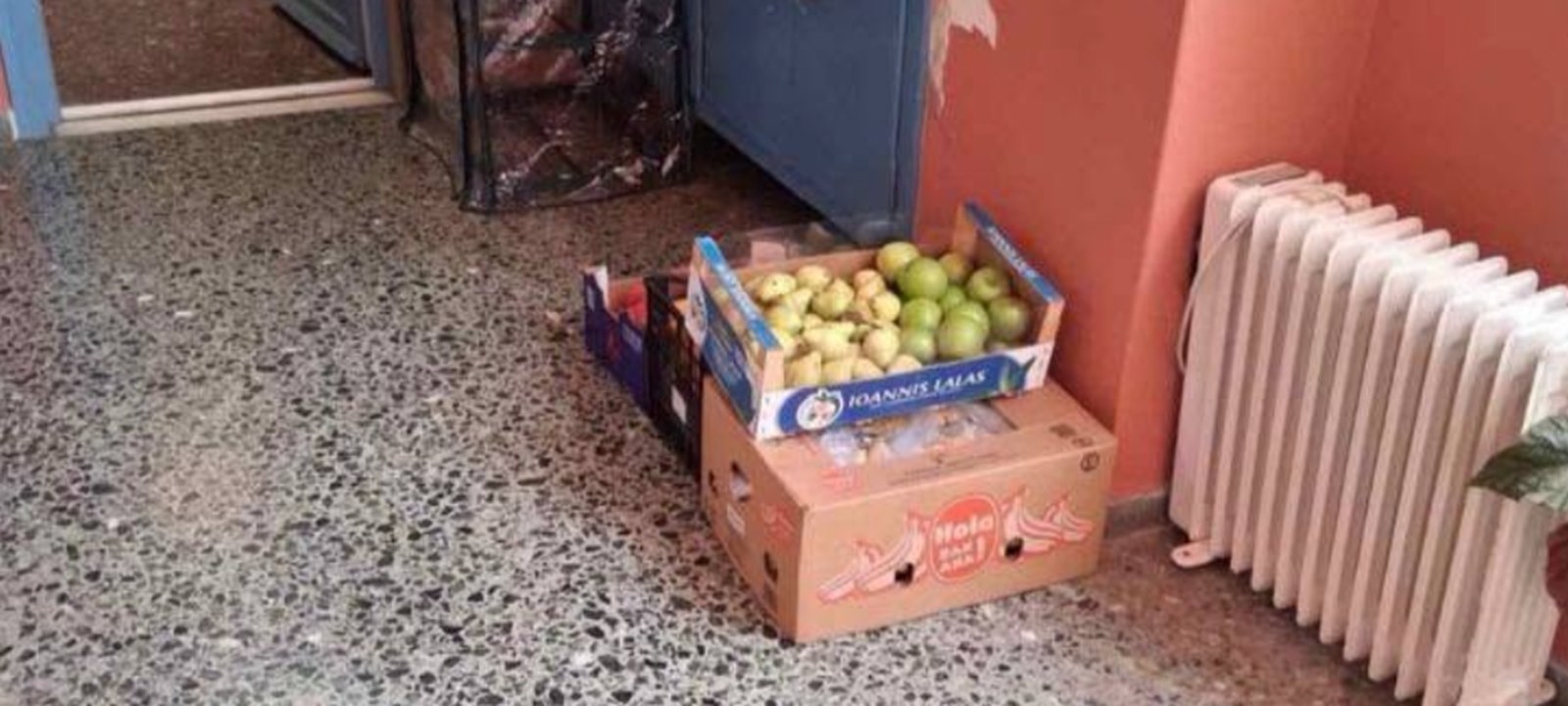 Φρούτα στον διάδρομο του 1ου Δημοτικού Σχολείου Τήνου