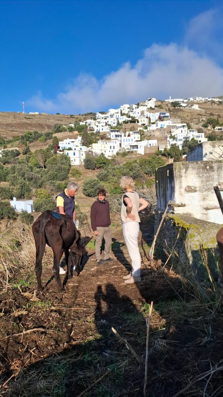 Η 37χρονη γαϊδουρίτσα Εξήντα σε μονοπάτι στον Τριαντάρο της Τήνου, με φόντο τον Μπερδεμιάρο