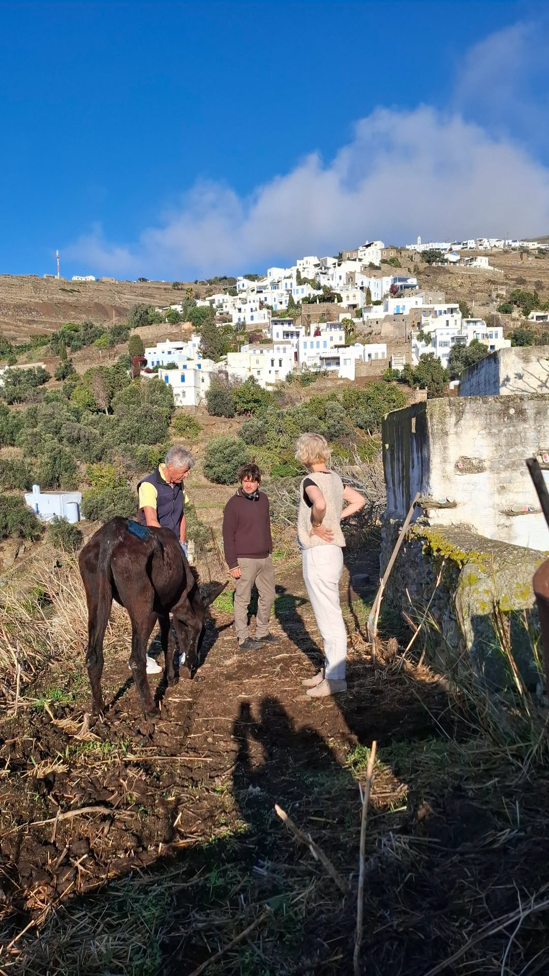 Η 37χρονη γαϊδουρίτσα Εξήντα σε μονοπάτι στον Τριαντάρο της Τήνου, με φόντο τον Μπερδεμιάρο