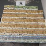 Καλλιέργεια κάνναβης στην Τήνο εντόπισε το Αστυνομικό Τμήμα: δύο συλλήψεις, οκτώ δενδρύλλια και 15.470 ευρώ