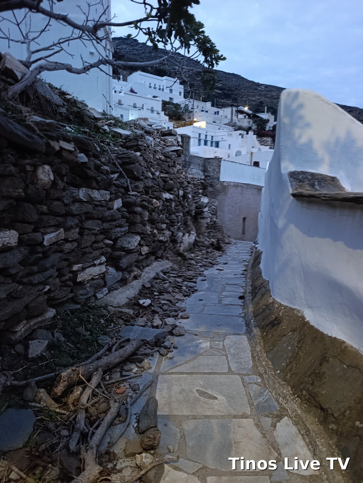 Πέτρες και κλαδιά από γκρεμισμένη ξερολιθιά στο πλάι μαρμαρόστρωτου καλντεριμιού στην Καρδιανή