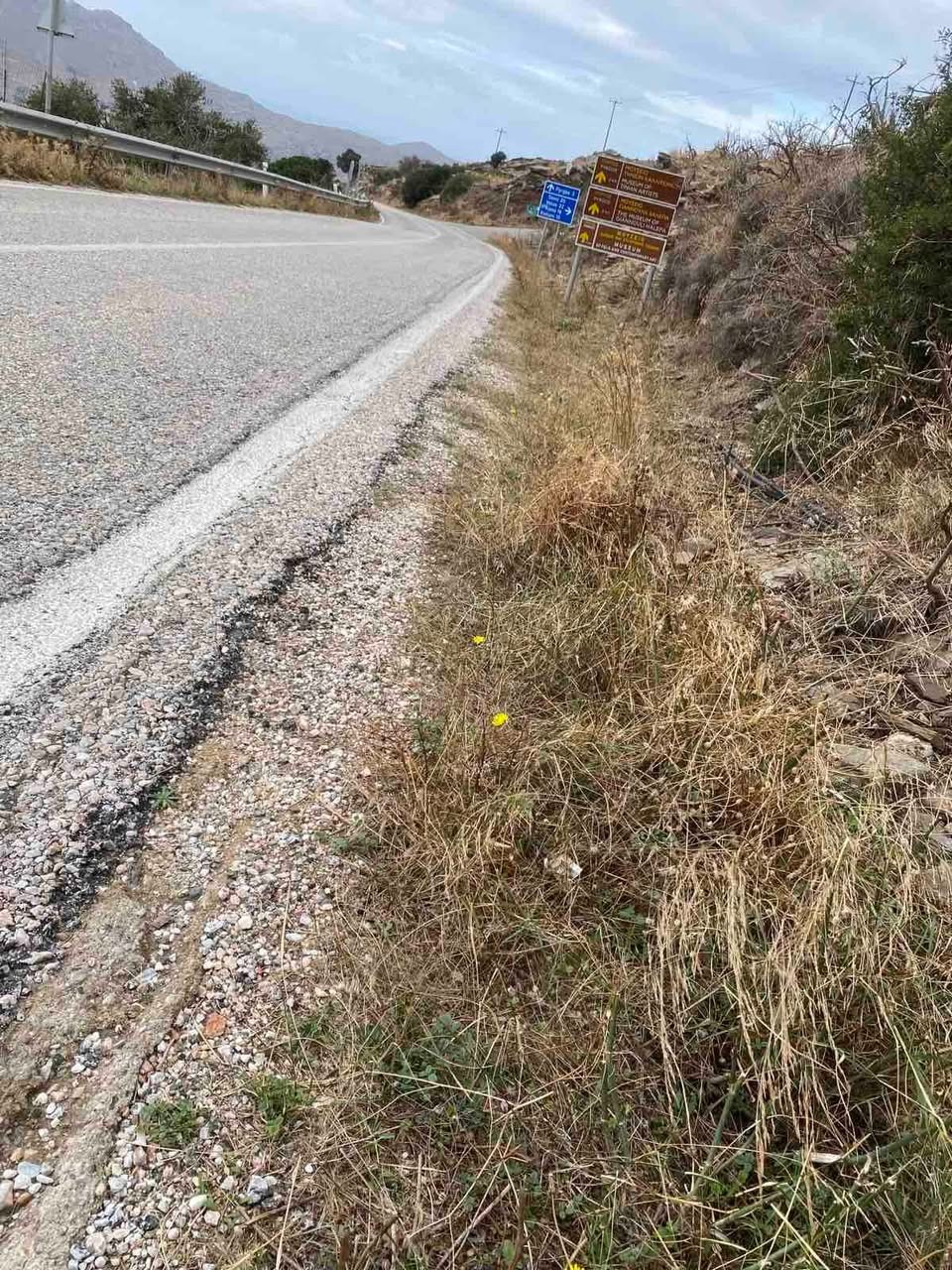 Χόρτα στο έρεισμα, στην άκρη της ασφάλτου, στον επαρχιακό δρόμο προς Υστέρνια και Πύργο