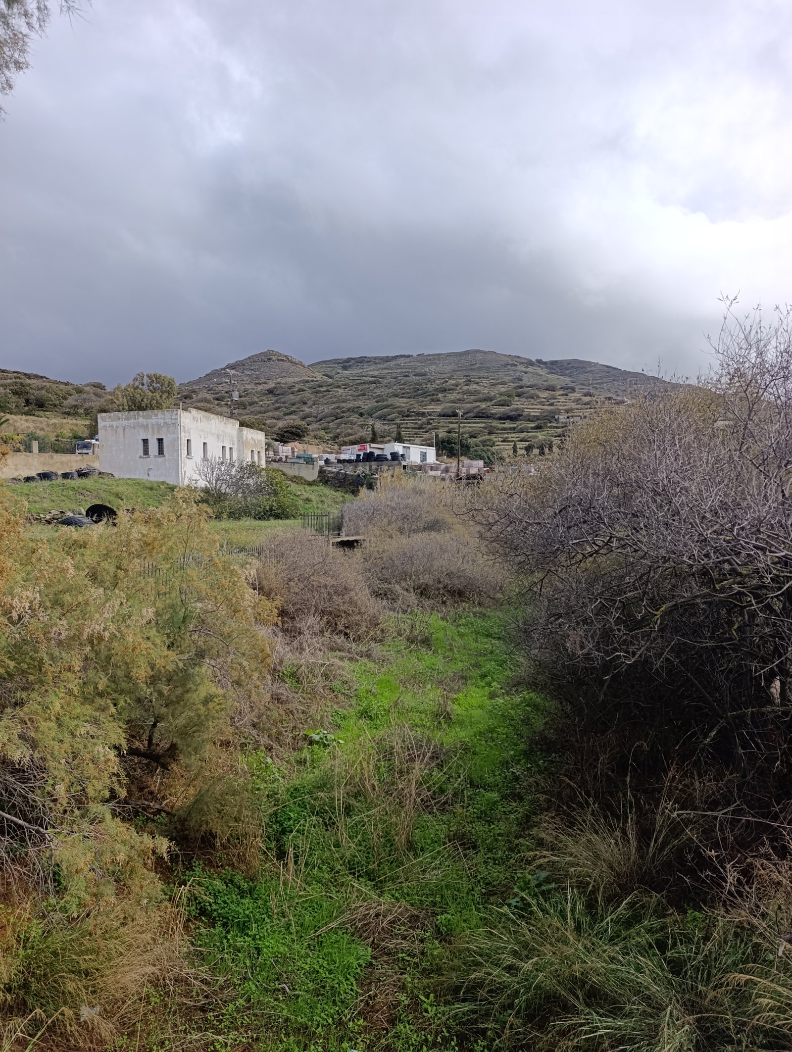 Η πράσινη κοίτη του Μικρού Ποταμού στην Κώμη ανάμεσα σε θάμνους, με συννεφιασμένο ουρανό