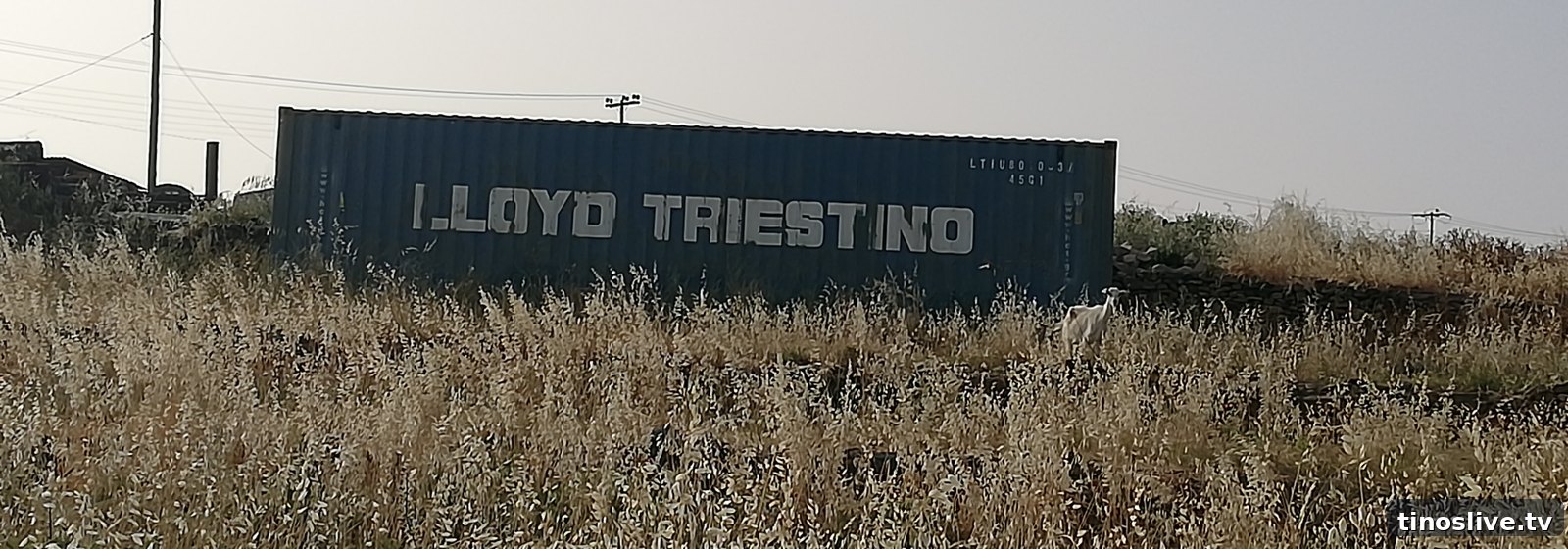 Κοντέινερ μέσα σε χωράφι στην ύπαιθρο της Τήνου