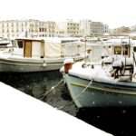 Είδος προς εξαφάνιση τα ξύλινα καΐκια της Τήνου — σε απεργία διαρκείας οι ψαράδες: «Σε τρία χρόνια δεν θα τρώτε ελληνικό ψάρι»