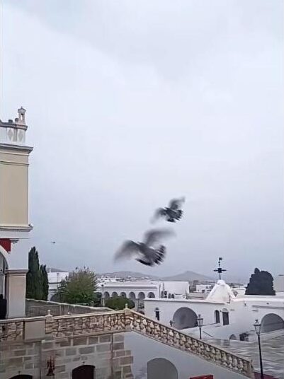 Περιστέρια και βροχή στην αυλή της Μεγαλόχαρης