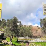 Αποκατάσταση των μονοπατιών σε Τριπόταμο και Αρνάδο: εγκρίθηκε η μελέτη και ο διαγωνισμός για έργο 274.674 ευρώ