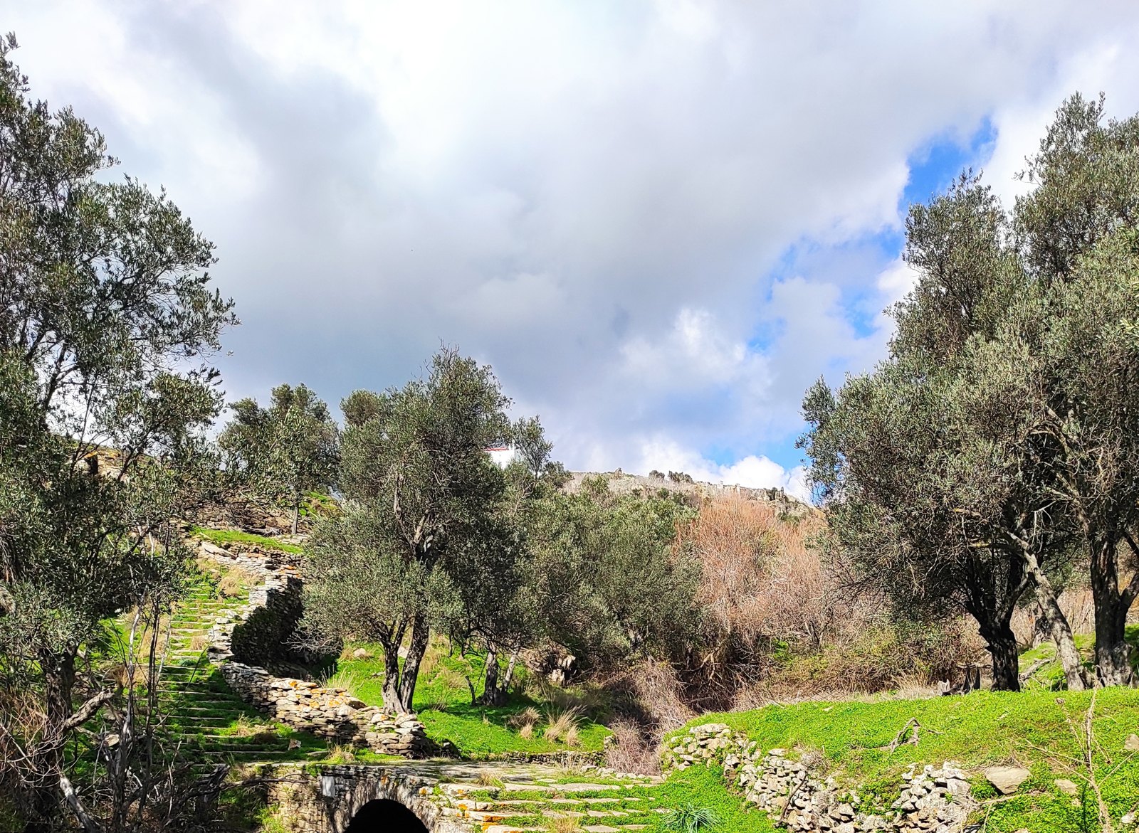 Πέτρινα σκαλοπάτια μονοπατιού με ξερολιθιά και ελιές στην περιοχή του Τριποτάμου Τήνου