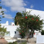 Προς άνοιγμα η Οικία Χαλεπά: το Υπουργείο έχει ήδη υποδεχθεί τους πρώτους επισκέπτες στο σπίτι του γλύπτη