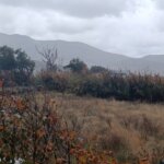 Καταρρακτώδης βροχή με κεραυνούς σε όλη την Τήνο από τα ξημερώματα — κανονικά τα πλοία, βελτίωση από το μεσημέρι, ήσυχη Κυριακή