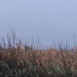 Του Αγίου Δημητρίου με βροχή — και για την παρέλαση της 28ης, ομπρέλα και βοριάς ως 6 μποφόρ